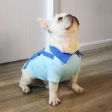 Mascota Chi-bi Maruko Halloween Carnaval Cosplay Disfraz