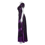 TV The Gilded Age - Agnes Van Rhijn Cosplay Navidad Disfraz Traje Vestido
