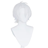 Anime The Case Study of Vanitas-Noé Archiviste Cosplay Peluca Cabello Sintético Resistente al Calor Carnival Halloween Fiesta
