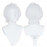 Anime The Case Study of Vanitas-Noé Archiviste Cosplay Peluca Cabello Sintético Resistente al Calor Carnival Halloween Fiesta