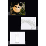 3M LED Halloween calabazas fantasmas calabazas esqueletos murciélagos arañas LED linternas vacaciones Bar fiesta familiar