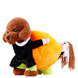Halloween Carnaval Mascota Calabaza Perro Cosplay Disfraz