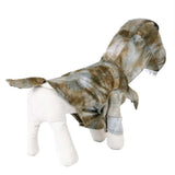 Halloween Disfraz de Mascota Traje de Dinosaurio Lindo Ropa con Caucha para Perro o Gato