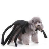 Mascota Araña Peluda Patas Halloween Carnaval Cosplay Disfraz