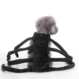 Mascota Araña Peluda Patas Halloween Carnaval Cosplay Disfraz