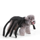 Mascota Araña Peluda Patas Halloween Carnaval Cosplay Disfraz