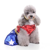 Mascota Mono Perro Gato Halloween Carnaval Disfraz
