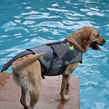 How to Train Your Dragon Chaleco salvavidas para perros Dispositivo de rescate de natación Halloween Carnaval Accesorios